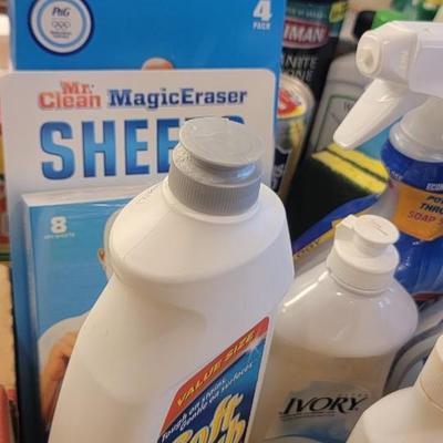 Miscellaneous cleaning supplies