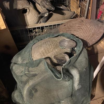 Many duck decoys