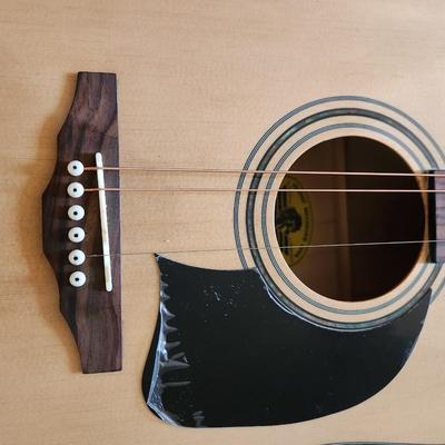 George Washburn Lyon Acoustic Guitar with Case & Stand