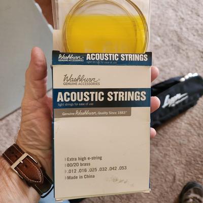 George Washburn Lyon Acoustic Guitar with Case & Stand