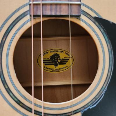 George Washburn Lyon Acoustic Guitar with Case & Stand