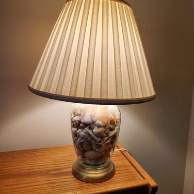 Sea Shell Filled Table lamp