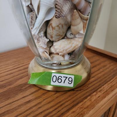 Sea Shell Filled Table lamp
