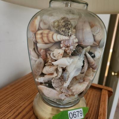 Sea Shell Filled Table lamp