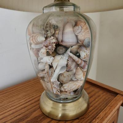Sea Shell Filled Table lamp