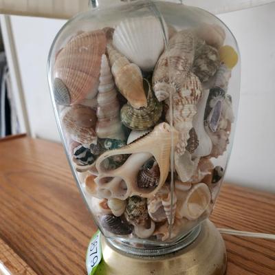 Sea Shell Filled Table lamp