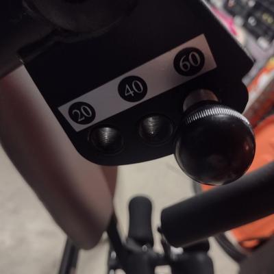 Body Vision Inversion Table