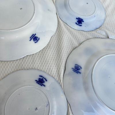 Lot 173 Blue Onion Grouping