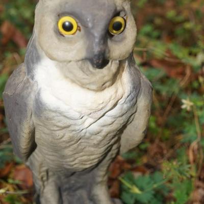 VINTAGE PAPER MACHE' OWL DECOY GLASS EYES