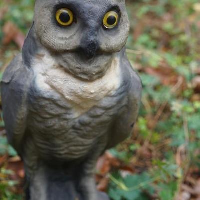 VINTAGE PAPER MACHE' OWL DECOY GLASS EYES