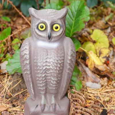 VERY RARE VINTAGE PAPER MACHE OWL DECOY- DOUBLE SIDED FACE WITH GLASS EYES. 12"