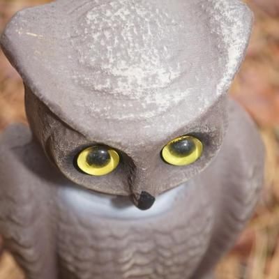 VERY RARE VINTAGE PAPER MACHE OWL DECOY- DOUBLE SIDED FACE WITH GLASS EYES. 12"
