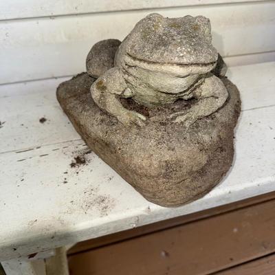 479 Frog on Rock Concrete