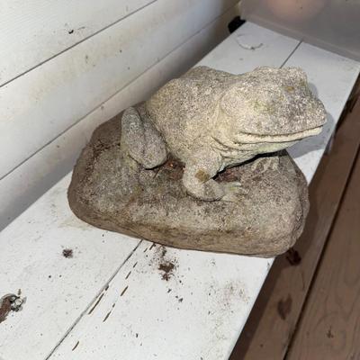 479 Frog on Rock Concrete