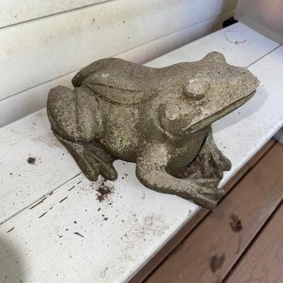 480 Frog Looking Up Concrete