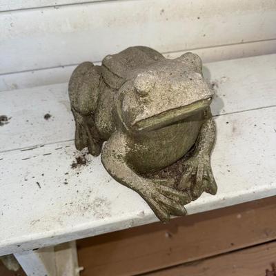 480 Frog Looking Up Concrete