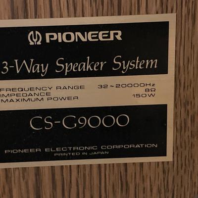 Pioneer tall speakers