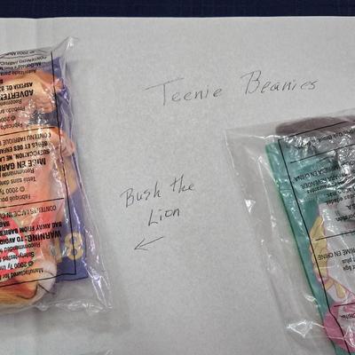 Teenie Beanie Babies Lot
