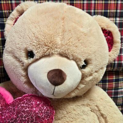 Huge Teddy with Pink Sequin Heart & Details