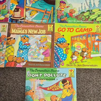 The Bernstein Bears Book Lot #1