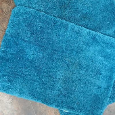 Bathroom rugs, lace shower curtain, with birdhouse hooks and a heating pad