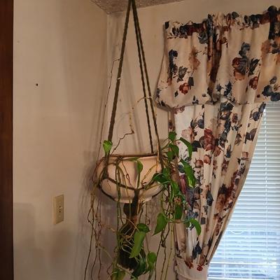 Live plant! Macramé hanging Large ceramic flowerpot with a Pathos plant that needs a little love!