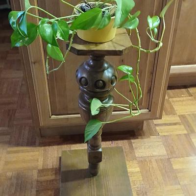 Small potted Live pathos plant on wooden stand and an oak mirrored wall shelf with hooks