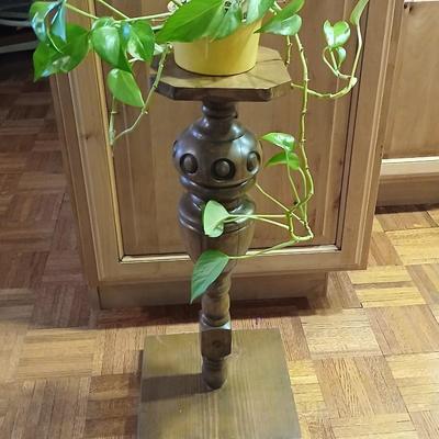 Small potted Live pathos plant on wooden stand and an oak mirrored wall shelf with hooks
