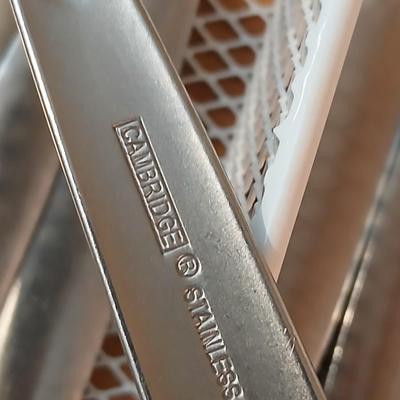 Cambridge stainless Flatware - 20-piece set + extras!