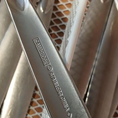 Cambridge stainless Flatware - 20-piece set + extras!