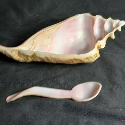 Seashell dish with spoon, dancing dolphins and a wooden Eagle