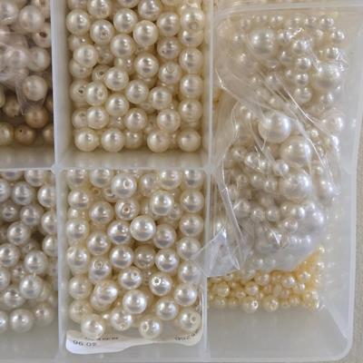 Plastic Organizer Filled with Pearl Beads