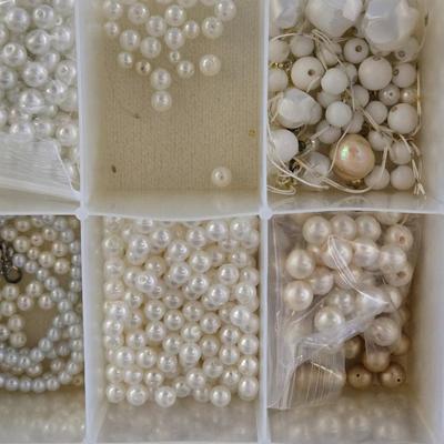 Plastic Organizer Filled with Pearl Beads