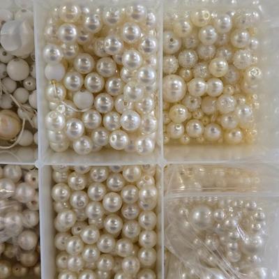 Plastic Organizer Filled with Pearl Beads