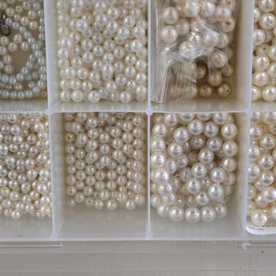 Plastic Organizer Filled with Pearl Beads