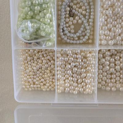 Plastic Organizer Filled with Pearl Beads
