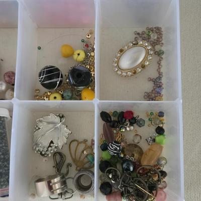 Plastic Organizer filled with Beads