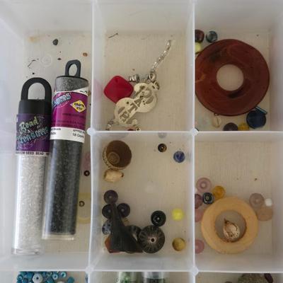 Plastic Organizer filled with Beads