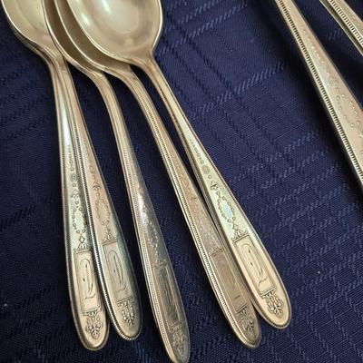 W.M. Rogers Silverplate Flatware Set