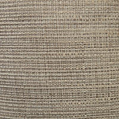 (2) Decorative Pillows