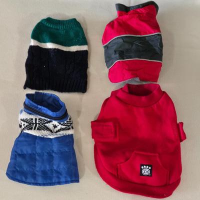 Extra Small Dog Outfits
