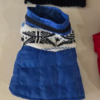 Extra Small Dog Outfits