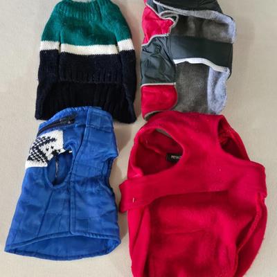 Extra Small Dog Outfits