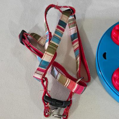 (2) Small Dog Harnesses and a Dog Toy