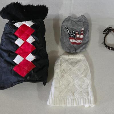 Extra Small Dog Outfits and Collar