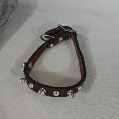 Extra Small Dog Outfits and Collar