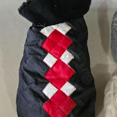 Extra Small Dog Outfits and Collar