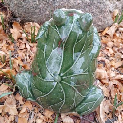 Ceramic Garden frog with butterfly stake