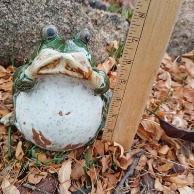 Ceramic Garden frog with butterfly stake