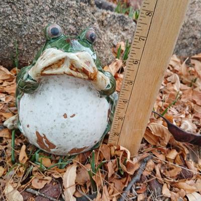 Ceramic Garden frog with butterfly stake